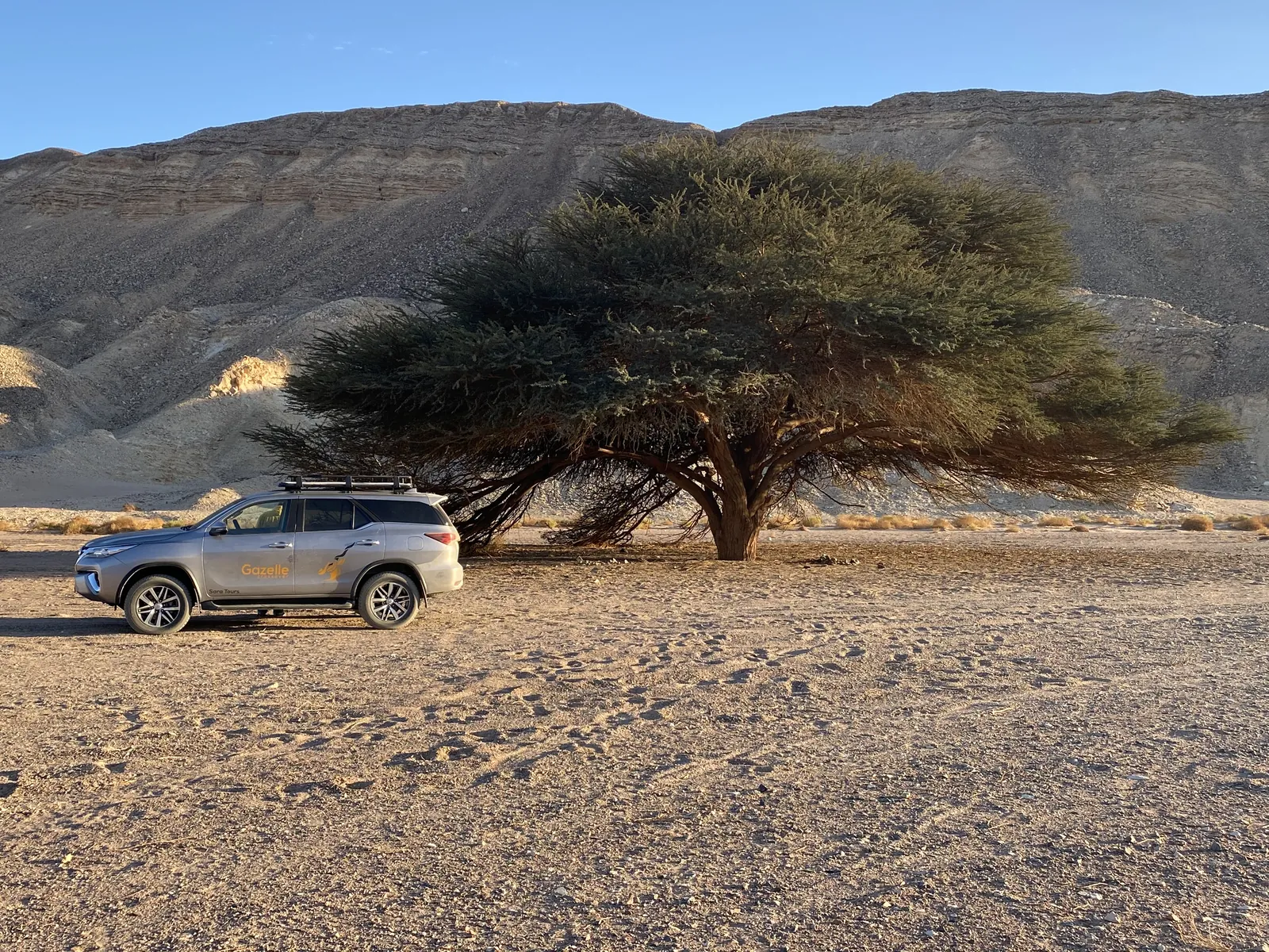 Luxury Safari Background