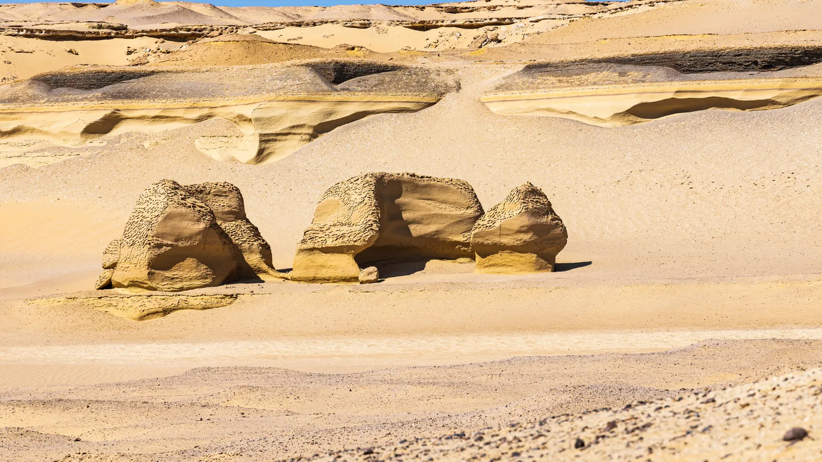 White Desert Multi Day Tour