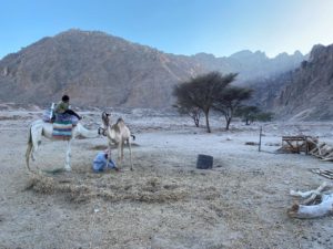Umm Dalfa Bedouin Village