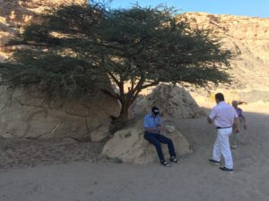 A group of people exploring the desert on a Gazelle Crossover trip