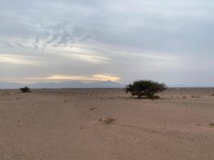 OasisTrip Gazelle Tours A group of people exploring the desert on a Gazelle Crossover trip